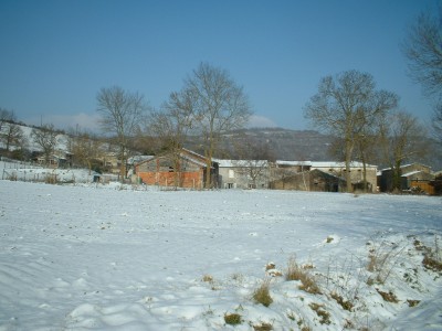 Domaine Thomson en hiver