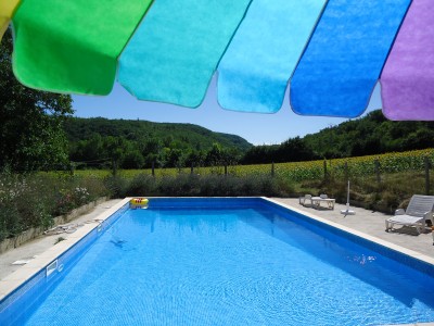Lovely pool 12 x 6 meters