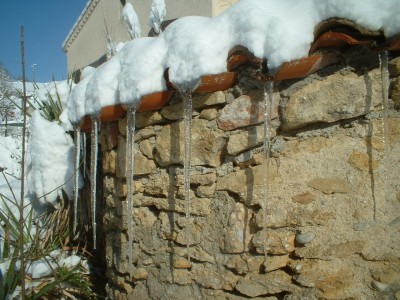 snow scenes, 9 March 2010 (6)
