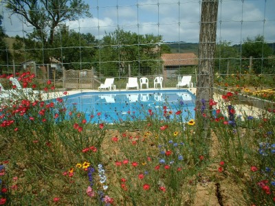 swimming pool piscine (4)